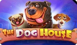 GDFPlay Casino – The Dog House